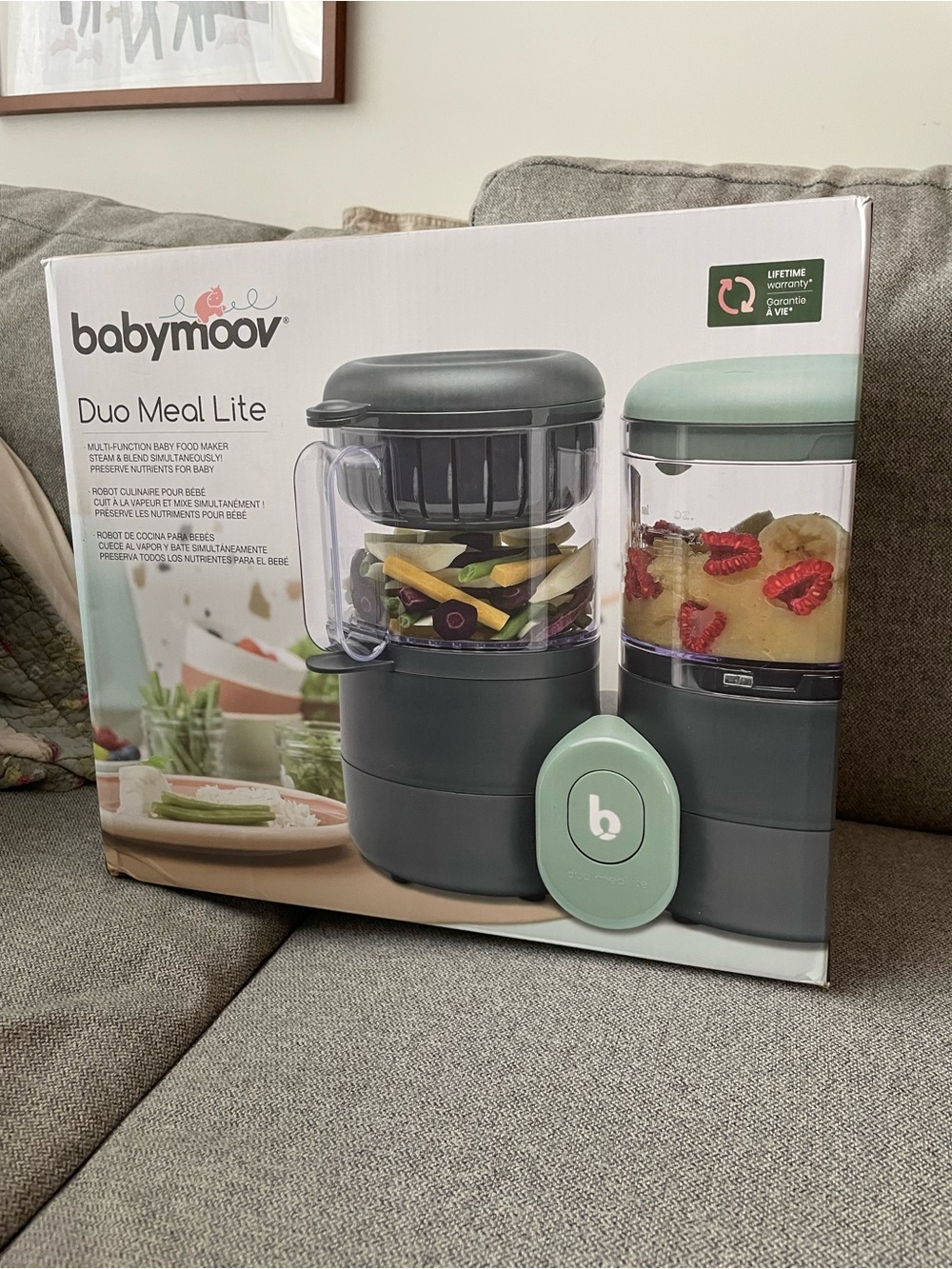babymoov Duo Meal Lite Baby Food Maker - Mint/Gray